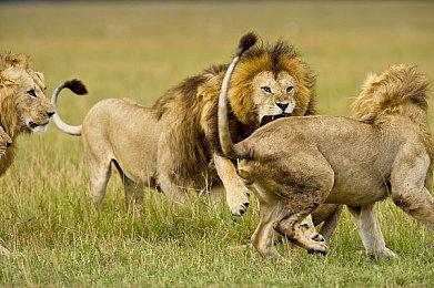 Switch动作游戏《打工人》：用键盘逆袭成为公司老总